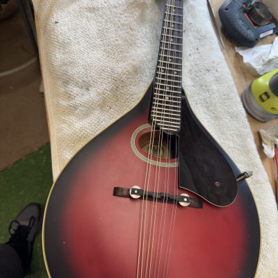 20250121_020711567_iOS